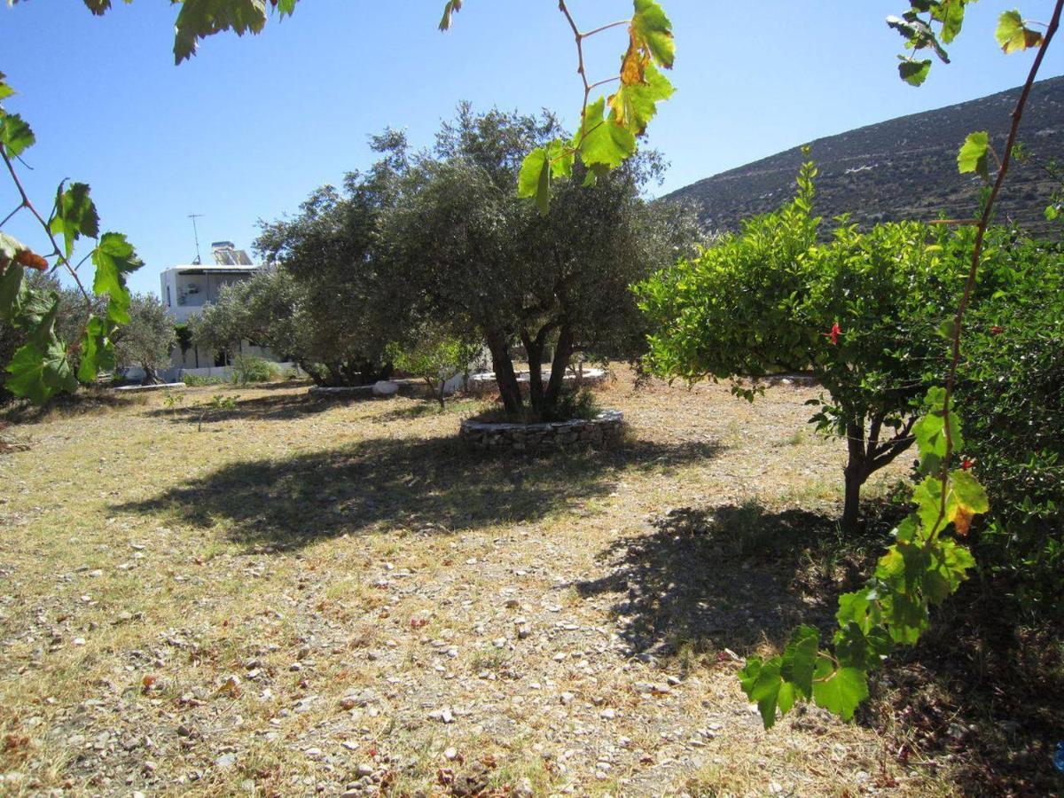 Elisso Villas Platis Gialos  Экстерьер фото