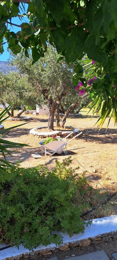 Elisso Villas Platis Gialos  Экстерьер фото